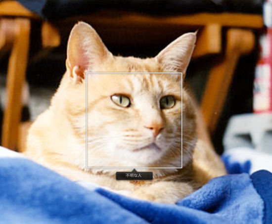 f:id:me_262:20100326010641j:image f:id:me_262:20100326010641j:image