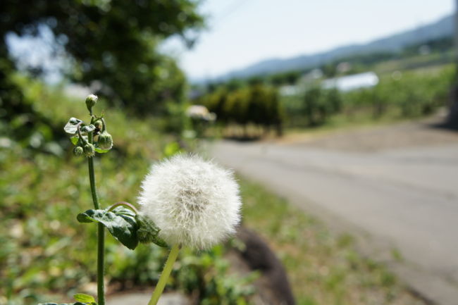 f:id:me_262:20100606195959j:image f:id:me_262:20100606195959j:image