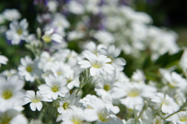f:id:me_262:20100606230421j:image f:id:me_262:20100606230421j:image