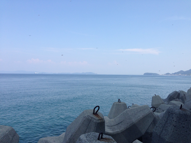f:id:meeeeeandmeeeee:20130806144425j:plain f:id:meeeeeandmeeeee:20130806144425j:plain