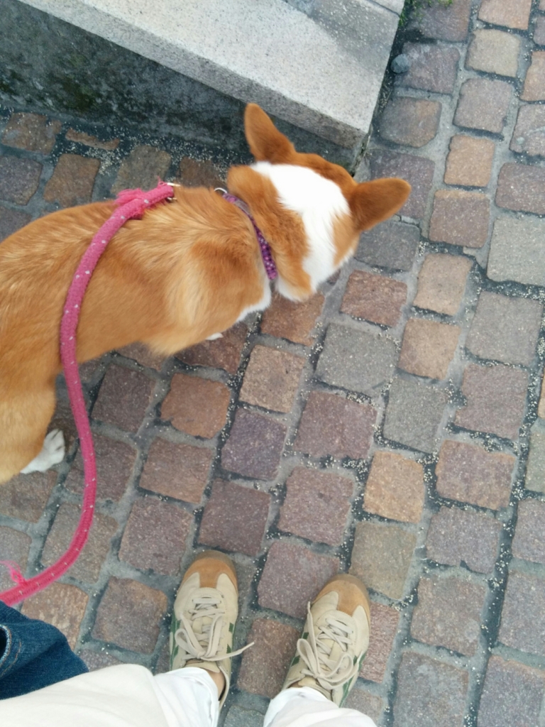 f:id:megan1110:20160412191750j:plain