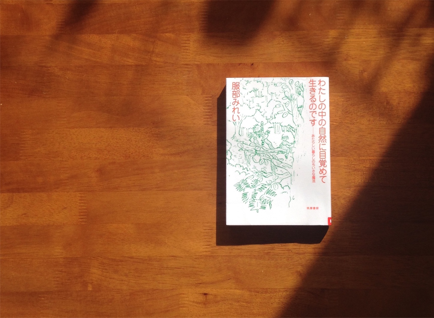 f:id:megane26:20151124122904j:image f:id:megane26:20151124122904j:image