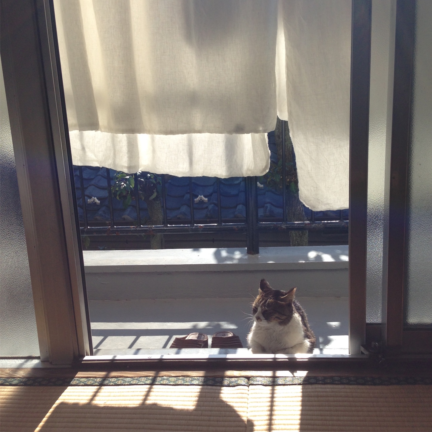 f:id:megane26:20151213165600j:image f:id:megane26:20151213165600j:image