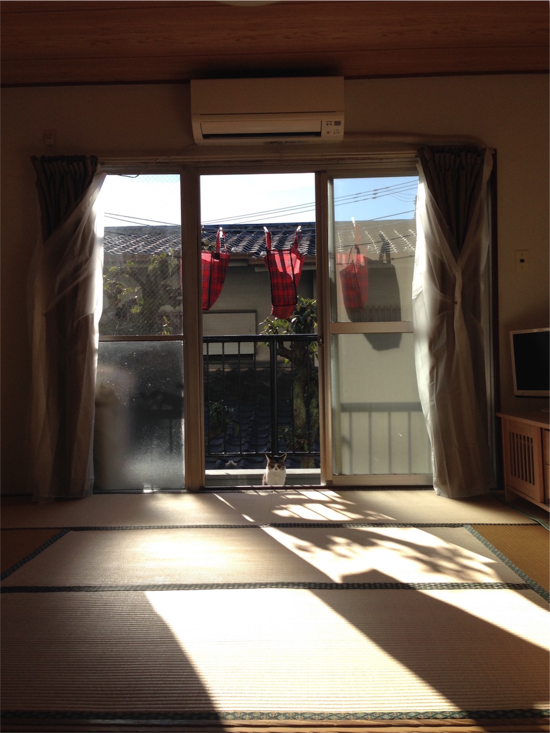f:id:megane26:20160111083544j:image f:id:megane26:20160111083544j:image