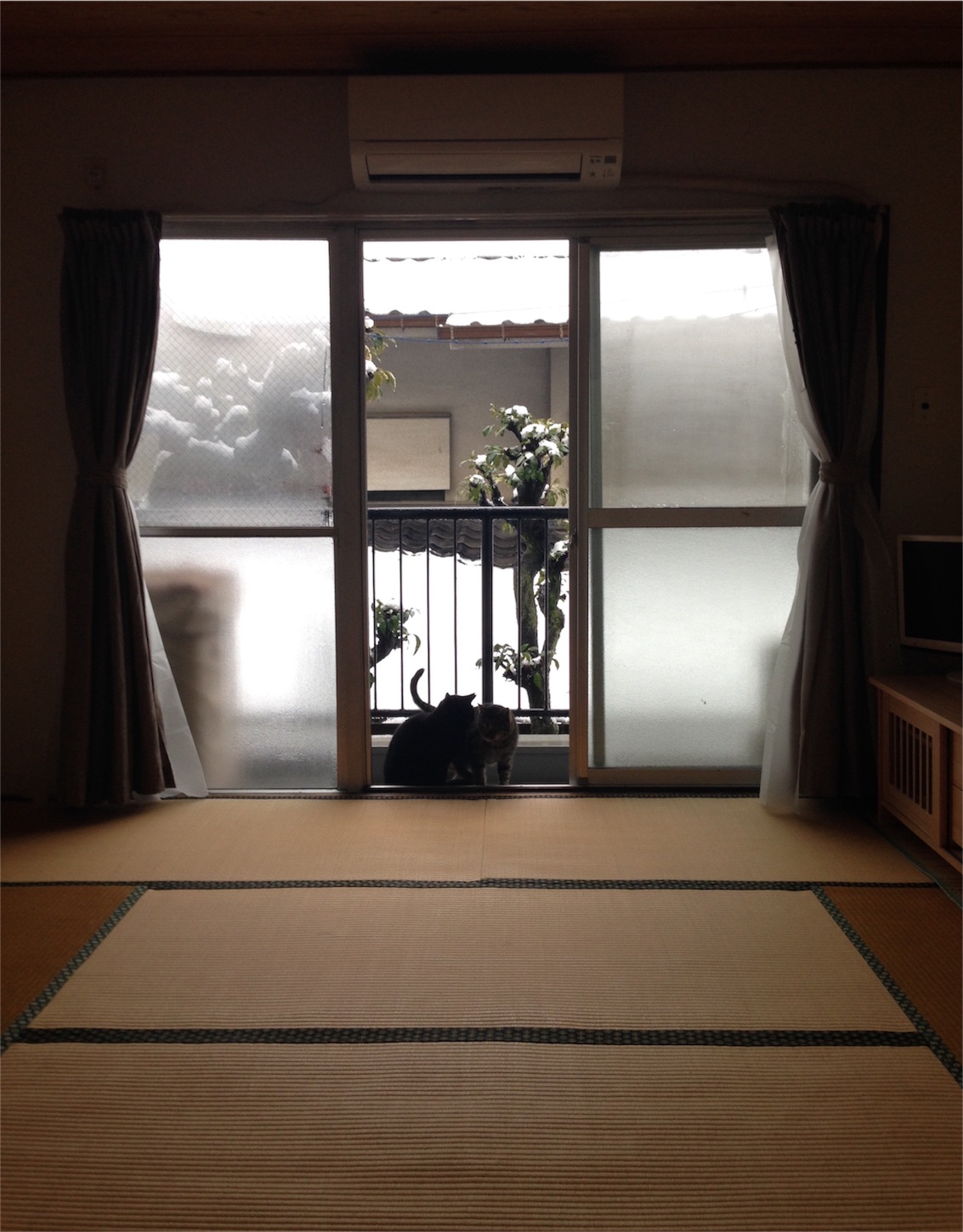 f:id:megane26:20160118095215j:image f:id:megane26:20160118095215j:image