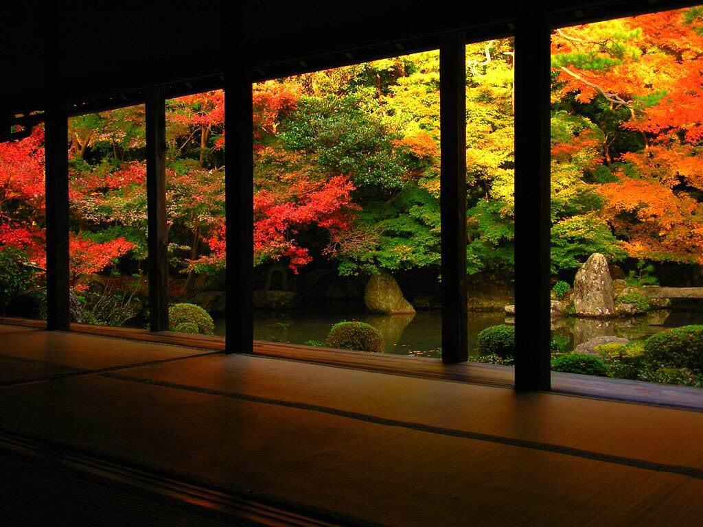 f:id:meganebob:20141026224744j:plain f:id:meganebob:20141026224744j:plain