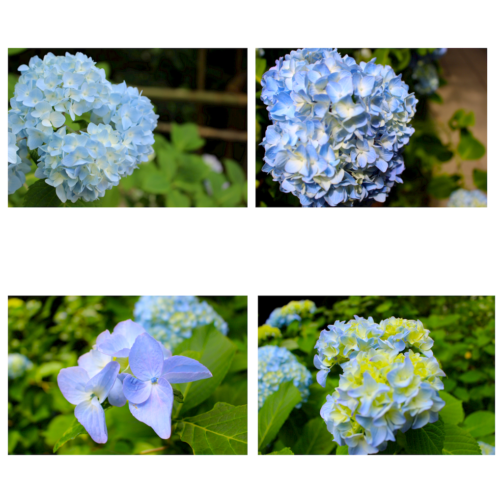 f:id:meganekagami:20160606174921p:image f:id:meganekagami:20160606174921p:image