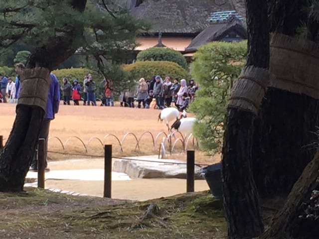 f:id:meganenokagayaki:20150102012532j:plain f:id:meganenokagayaki:20150102012532j:plain