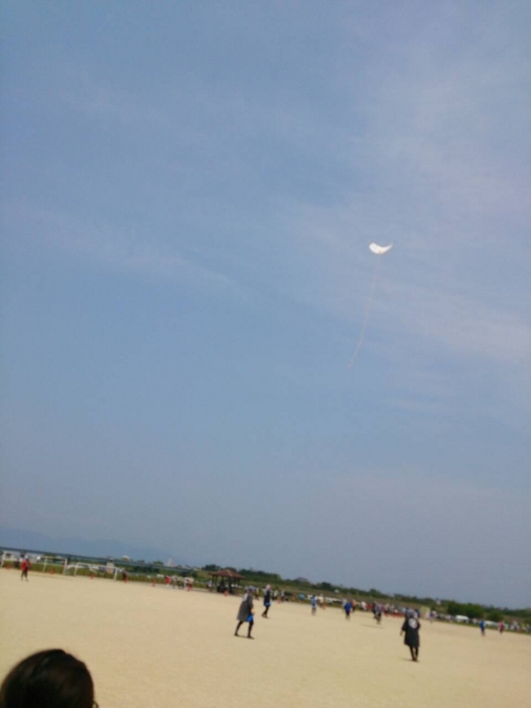 f:id:meganepopo:20140525214640j:plain f:id:meganepopo:20140525214640j:plain