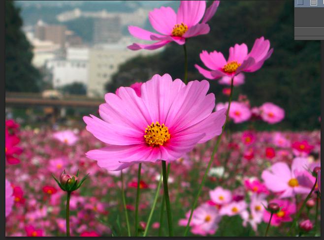 f:id:meglez1:20150109091654j:plain f:id:meglez1:20150109091654j:plain