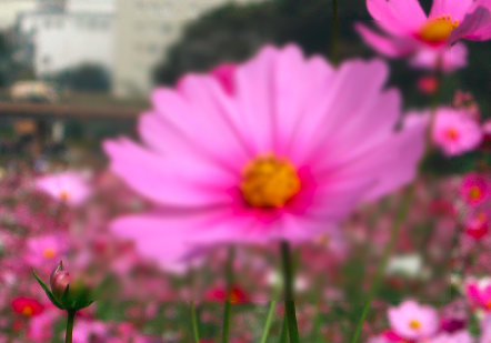 f:id:meglez1:20150109092122p:plain f:id:meglez1:20150109092122p:plain