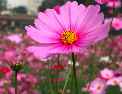 f:id:meglez1:20150109095349p:plain f:id:meglez1:20150109095349p:plain