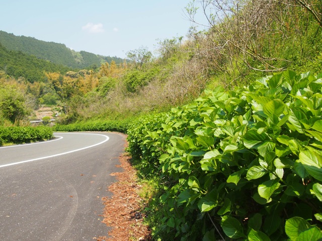 f:id:megmegochi:20150428220441j:plain f:id:megmegochi:20150428220441j:plain
