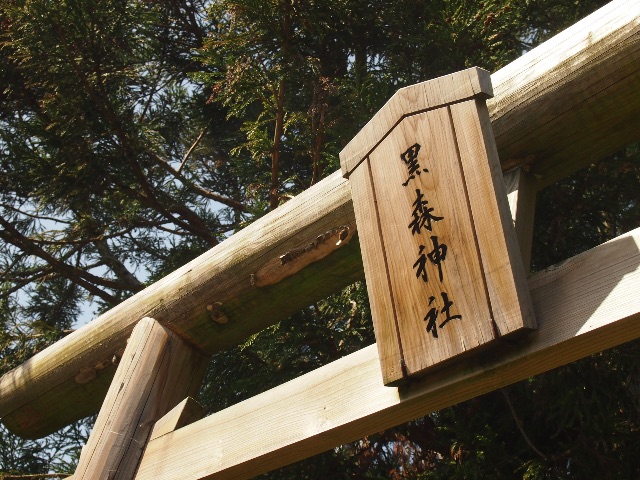f:id:megmegochi:20150508110955j:image f:id:megmegochi:20150508110955j:image