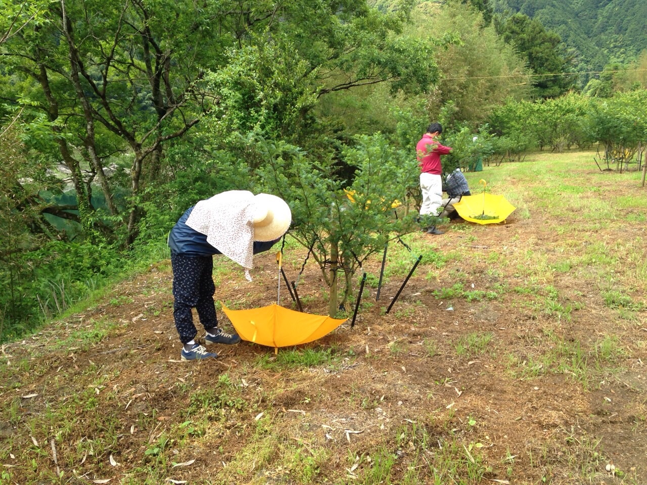 f:id:megmegochi:20150509224028j:image f:id:megmegochi:20150509224028j:image