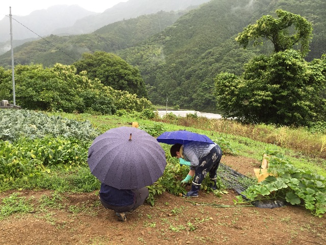 f:id:megmegochi:20150606074313j:image f:id:megmegochi:20150606074313j:image