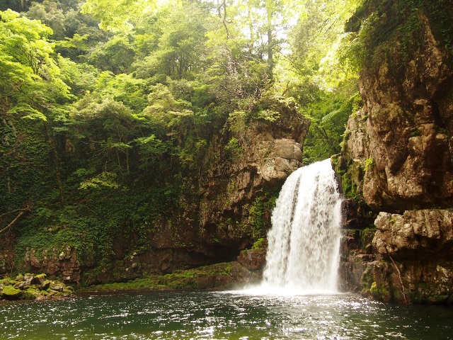 f:id:megmegochi:20150608075335j:image f:id:megmegochi:20150608075335j:image