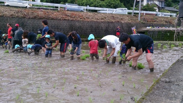 f:id:megmegochi:20150610073854j:image f:id:megmegochi:20150610073854j:image
