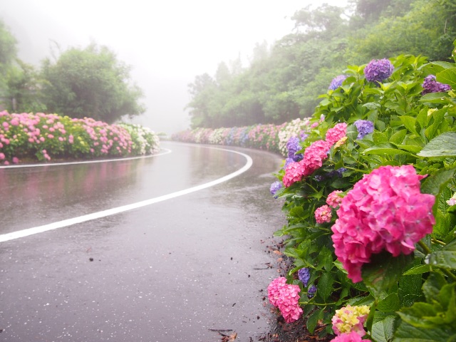 f:id:megmegochi:20150611213434j:image f:id:megmegochi:20150611213434j:image