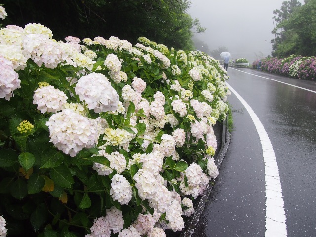 f:id:megmegochi:20150611213514j:image f:id:megmegochi:20150611213514j:image