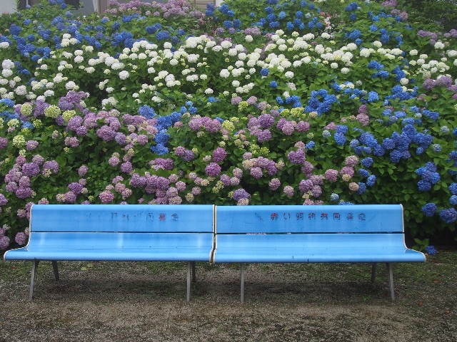f:id:megmegochi:20150611213702j:image f:id:megmegochi:20150611213702j:image