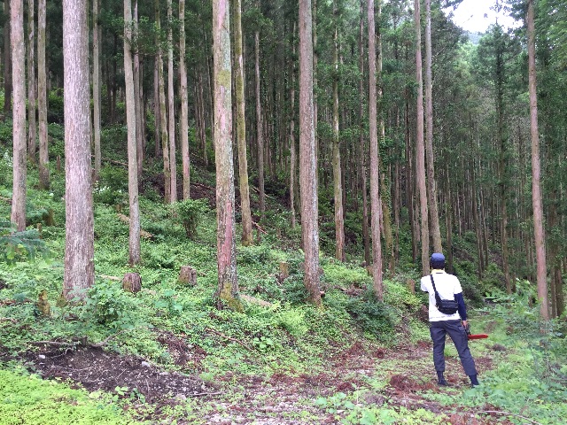 f:id:megmegochi:20150621222358j:image f:id:megmegochi:20150621222358j:image
