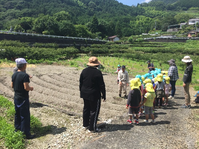 f:id:megmegochi:20150630012047j:image f:id:megmegochi:20150630012047j:image
