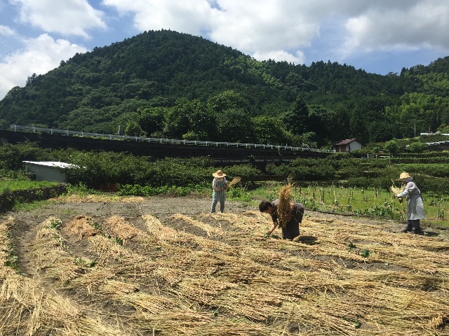 f:id:megmegochi:20150630063812j:image f:id:megmegochi:20150630063812j:image
