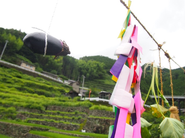 f:id:megmegochi:20150707230122j:image f:id:megmegochi:20150707230122j:image