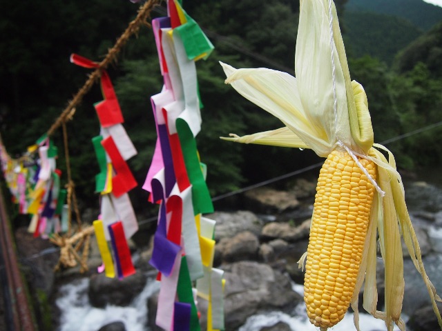 f:id:megmegochi:20150707230130j:image f:id:megmegochi:20150707230130j:image