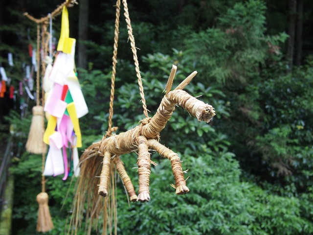 f:id:megmegochi:20150707230440j:image f:id:megmegochi:20150707230440j:image