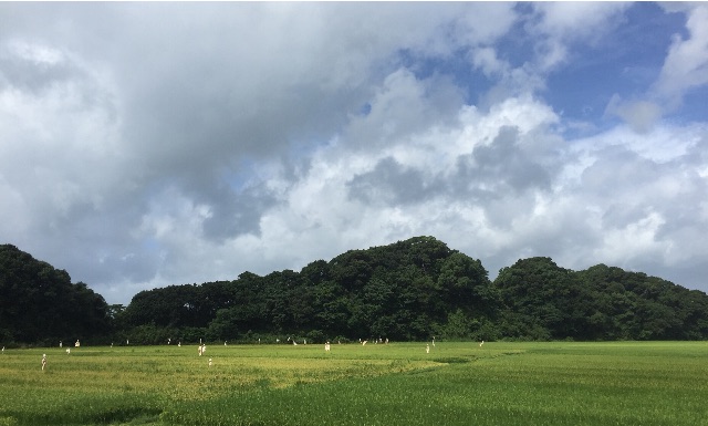 f:id:megmegochi:20150716104159j:image f:id:megmegochi:20150716104159j:image
