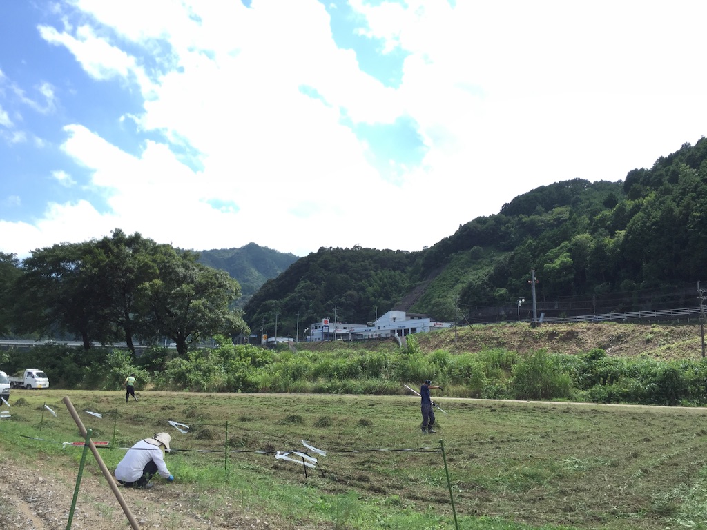 f:id:megmegochi:20150724204736j:image f:id:megmegochi:20150724204736j:image