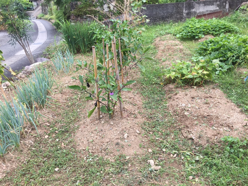 f:id:megmegochi:20150814134807j:image f:id:megmegochi:20150814134807j:image