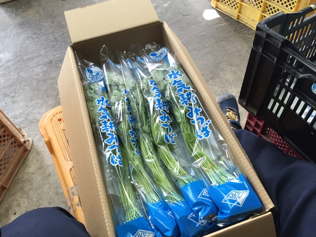 f:id:megmegochi:20150919203907j:image f:id:megmegochi:20150919203907j:image