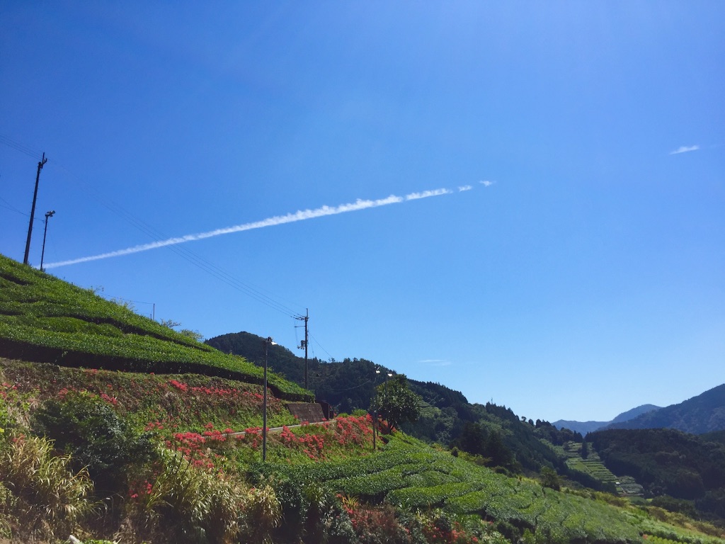 f:id:megmegochi:20150919231917j:image f:id:megmegochi:20150919231917j:image