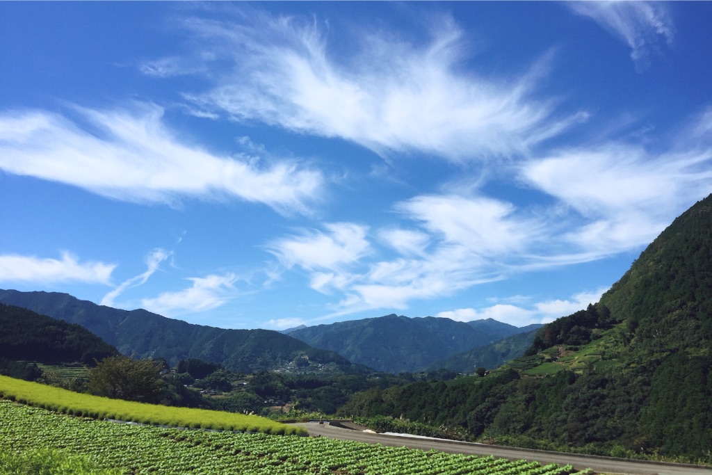 f:id:megmegochi:20151003211903j:image f:id:megmegochi:20151003211903j:image