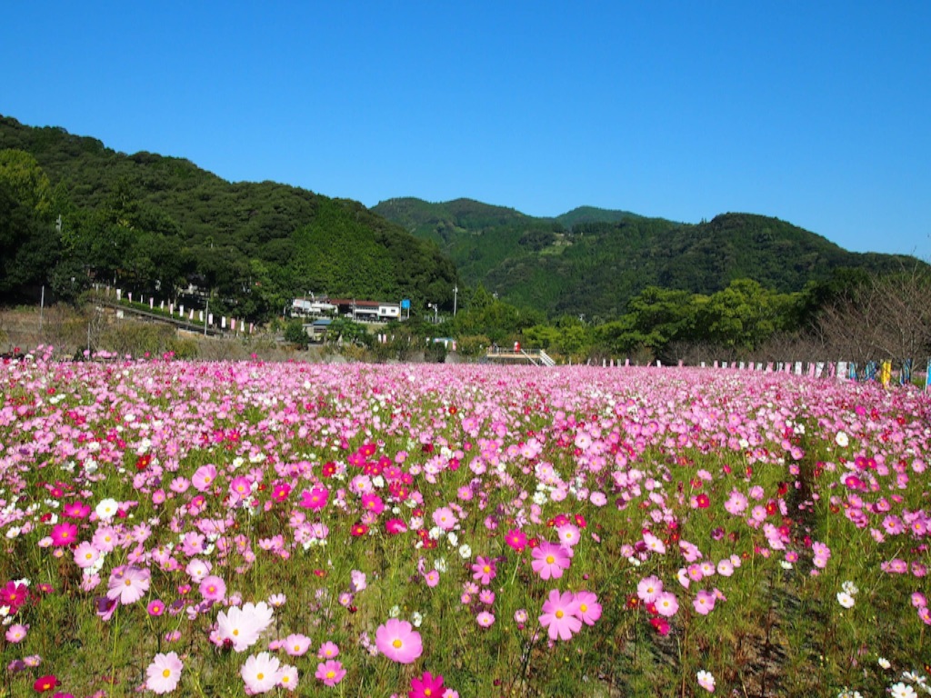 f:id:megmegochi:20151005191635j:image f:id:megmegochi:20151005191635j:image