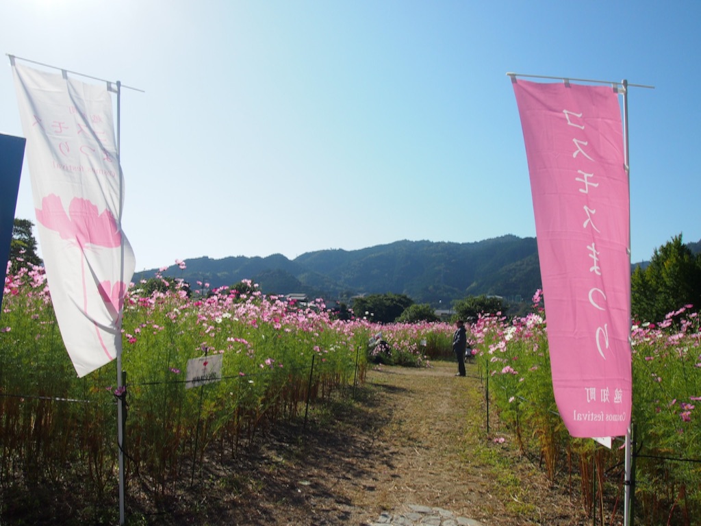 f:id:megmegochi:20151005191847j:image f:id:megmegochi:20151005191847j:image