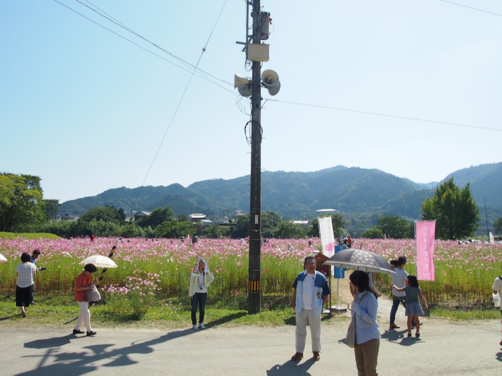 f:id:megmegochi:20151005192318j:image f:id:megmegochi:20151005192318j:image