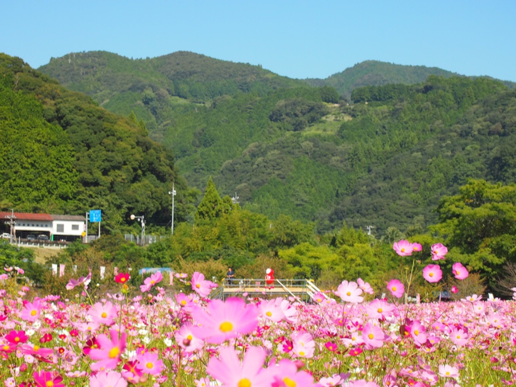 f:id:megmegochi:20151005192720j:image f:id:megmegochi:20151005192720j:image