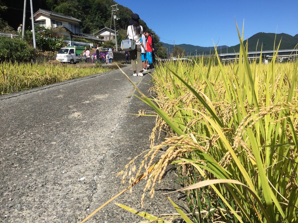 f:id:megmegochi:20151007173953j:image f:id:megmegochi:20151007173953j:image