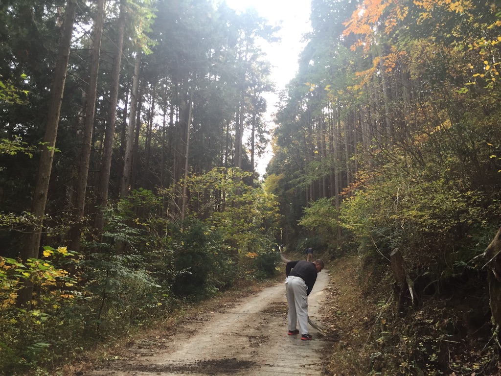 f:id:megmegochi:20151113094152j:image f:id:megmegochi:20151113094152j:image