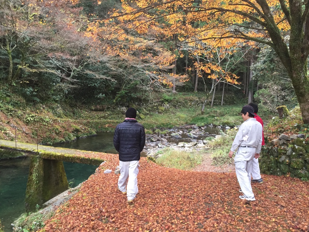 f:id:megmegochi:20151113101026j:image f:id:megmegochi:20151113101026j:image