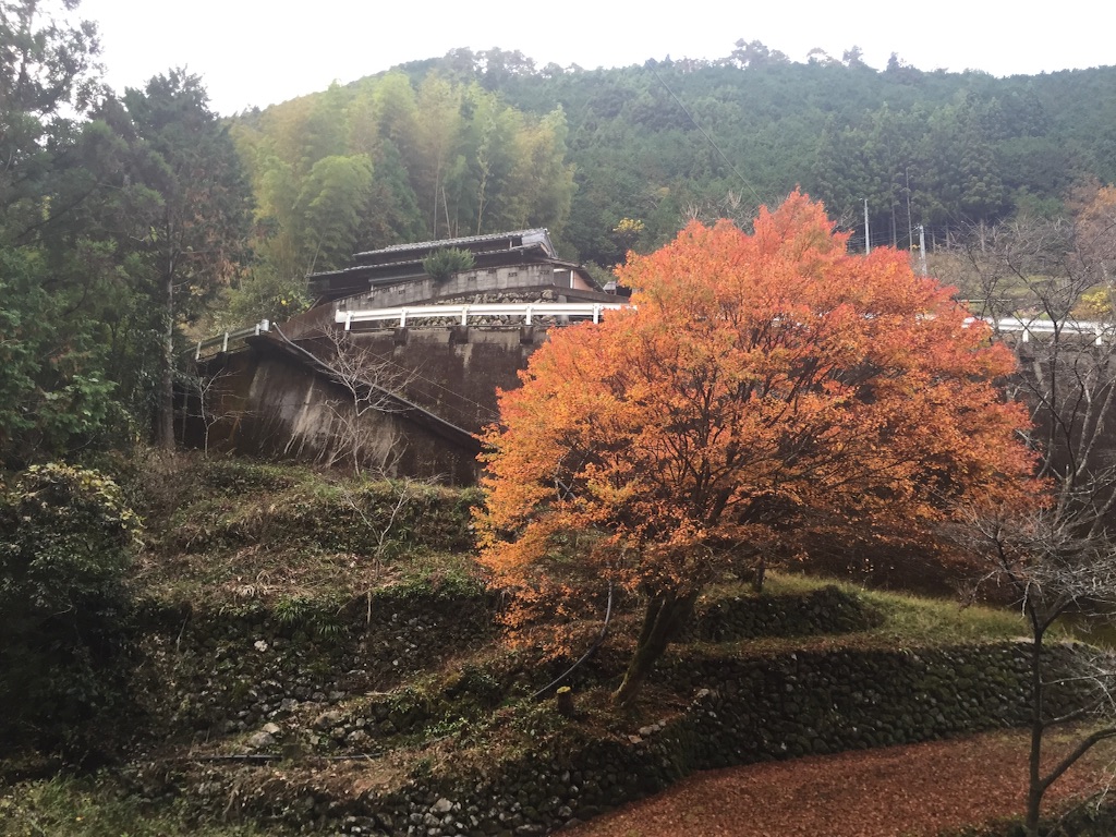f:id:megmegochi:20151113101038j:image f:id:megmegochi:20151113101038j:image