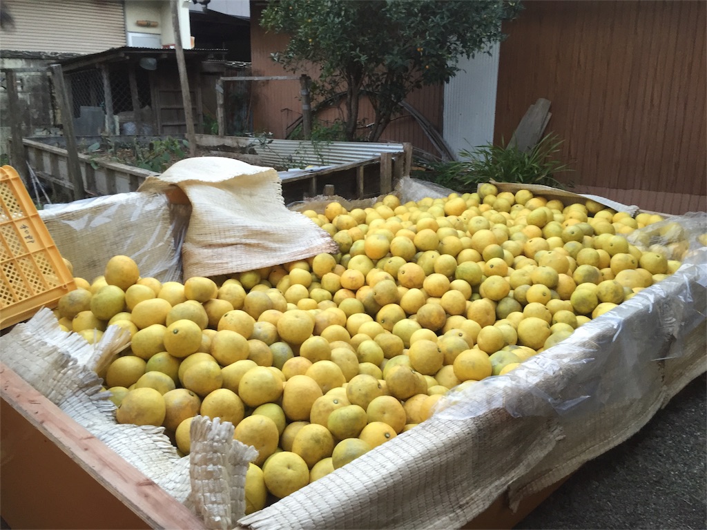 f:id:megmegochi:20160201221019j:image f:id:megmegochi:20160201221019j:image