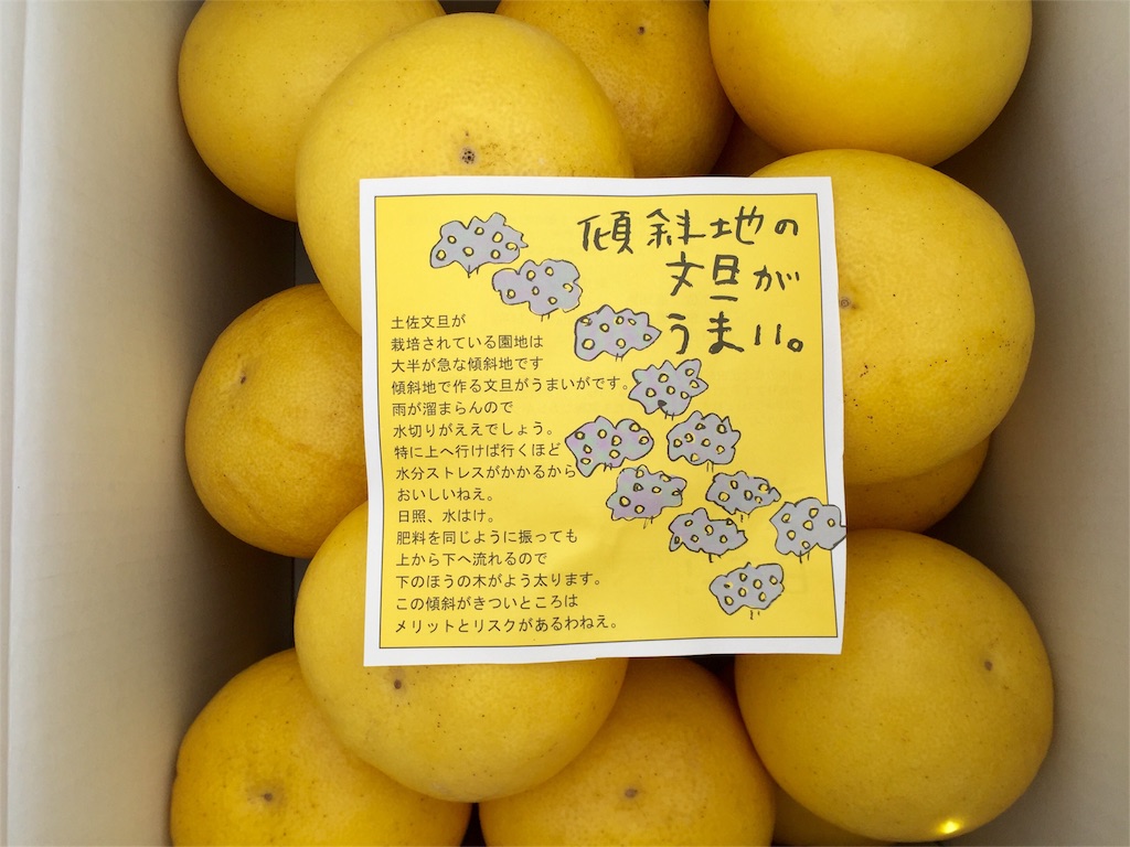 f:id:megmegochi:20160222101857j:image f:id:megmegochi:20160222101857j:image