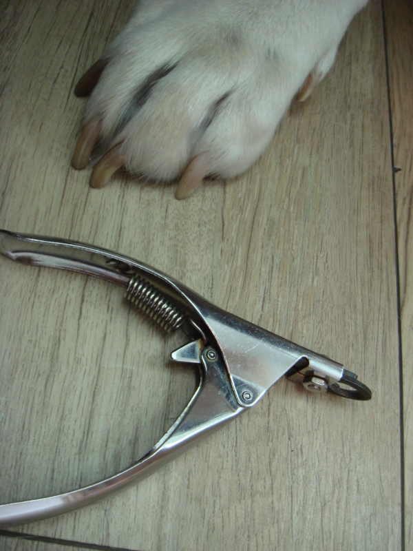 f:id:megumi-ah:20140123092217j:plain f:id:megumi-ah:20140123092217j:plain