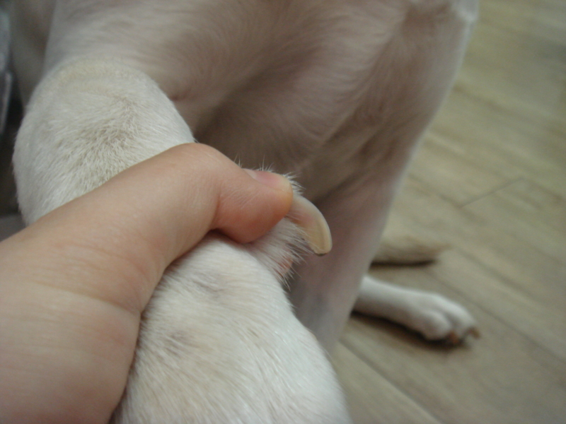 f:id:megumi-ah:20140123092437j:plain f:id:megumi-ah:20140123092437j:plain