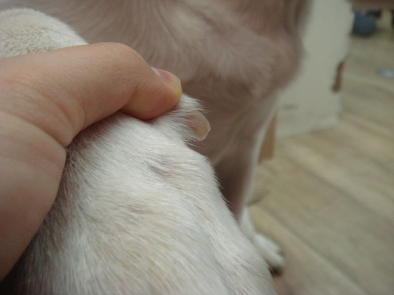 f:id:megumi-ah:20140123093501j:plain f:id:megumi-ah:20140123093501j:plain